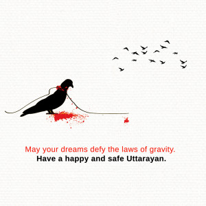 Makar Sankranti Wisehs Images, Poster and Status Free Download 32 16100012114316 Fest vruti uttarayan 06012021 3 square Makar Sankranti